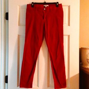 CAbi - cute ultra cord jean